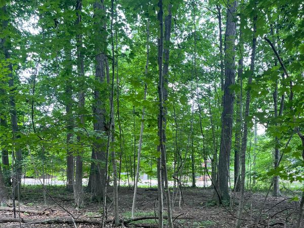 7326 State Route 19 , Unit 10. 4, Mount Gilead, OH 43338