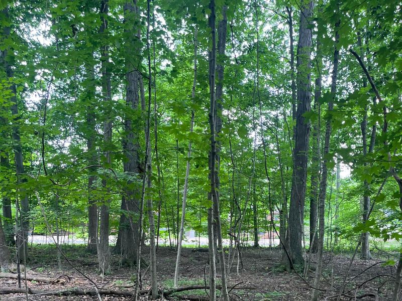 7326 State Route 19 , Unit Unit 10. 4, Mount Gilead, OH 43338 Photo 1