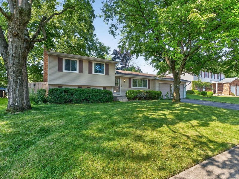1173 Starbuck Court, Westerville, OH 43081 Photo 1