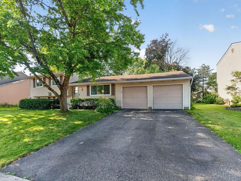 1173 Starbuck Court, Westerville, OH 43081 Photo 3