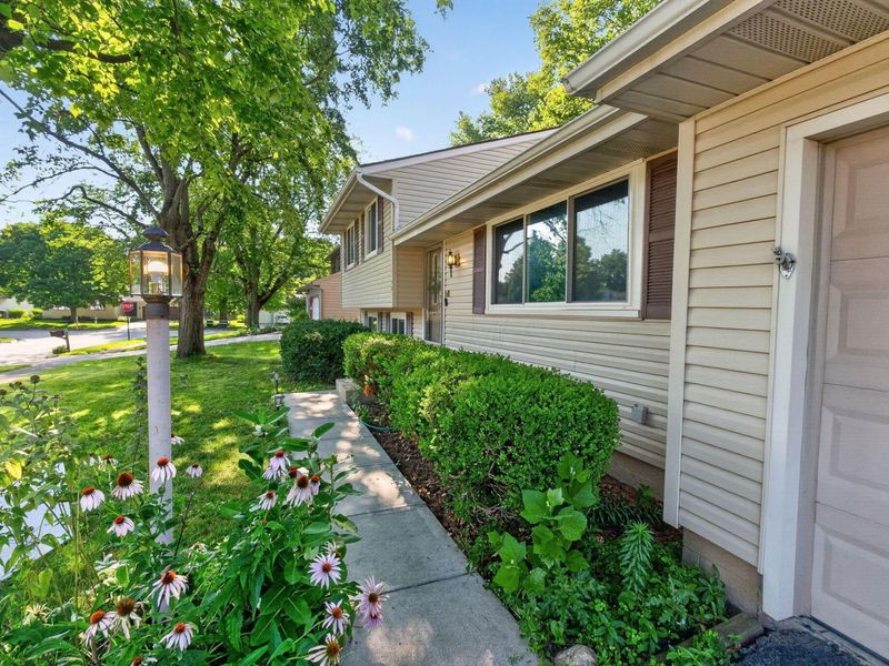 1173 Starbuck Court, Westerville, OH 43081 Photo 5