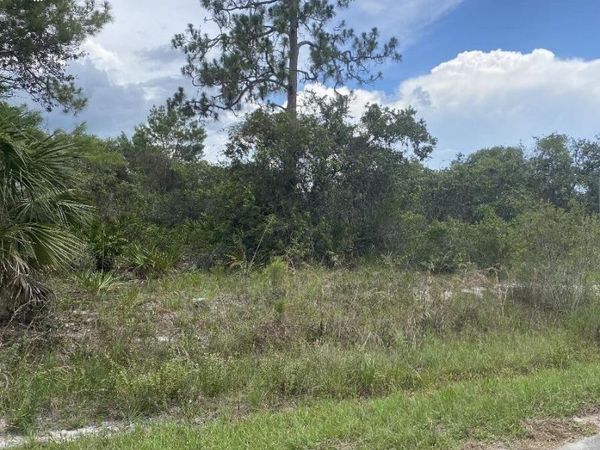 1010 Archie Summers Road, Lake Placid, FL 33852