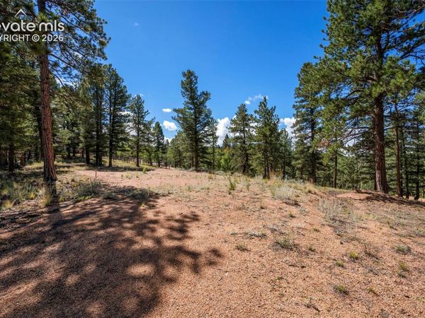 210 Donzi Trail, Florissant, CO 80816