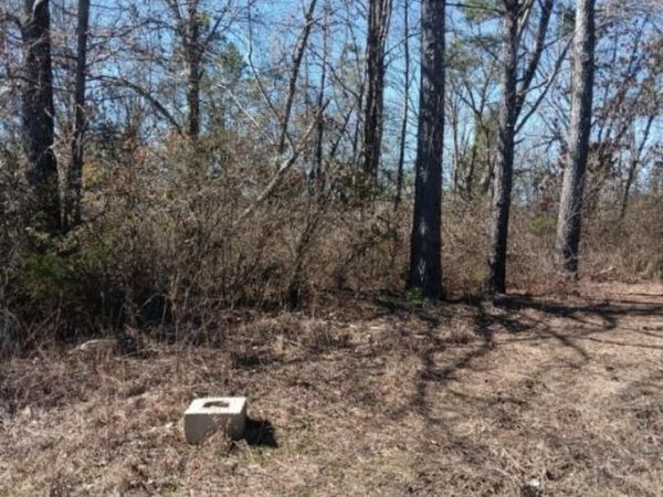 307 Roberts St, Hamilton, AL 35570