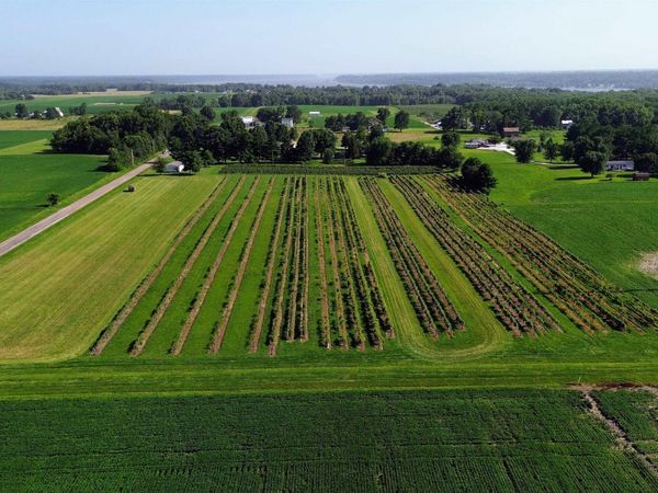 S Winchester Street, Nauvoo, IL 62354