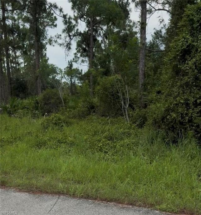 2018 Leroy Ave , Alva, FL 33920 Photo