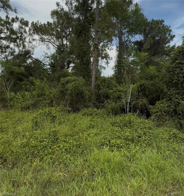 2018 Leroy Ave , Alva, FL 33920 Photo