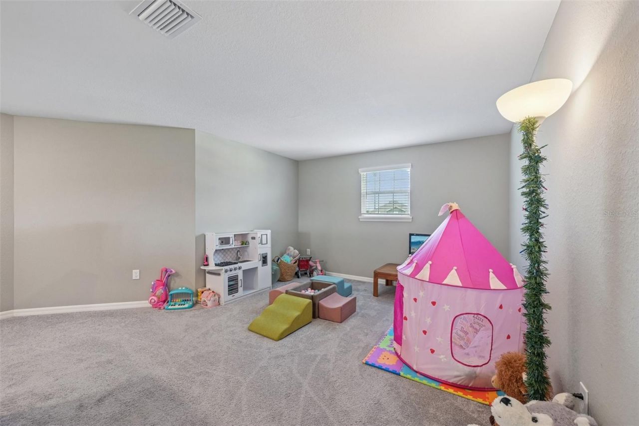 16113 67th Court E, Parrish, FL 34219 Photo