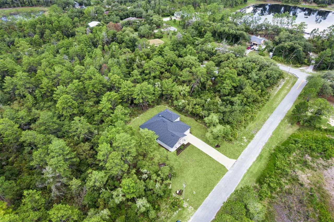 41650 Ligustrum Street , Eustis, FL 32736 Photo