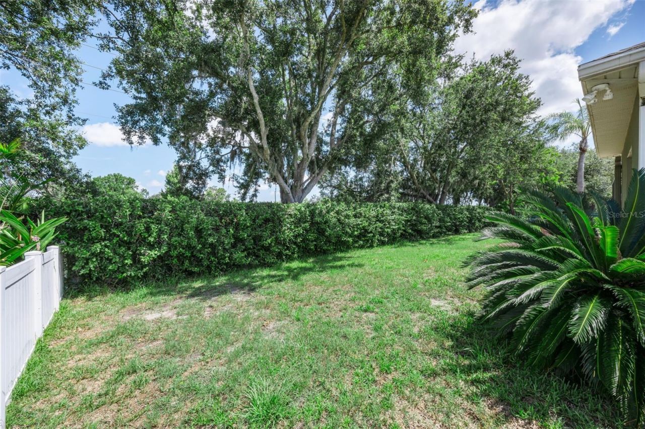 8843 Bel Meadow Way , Trinity, FL 34655 Photo