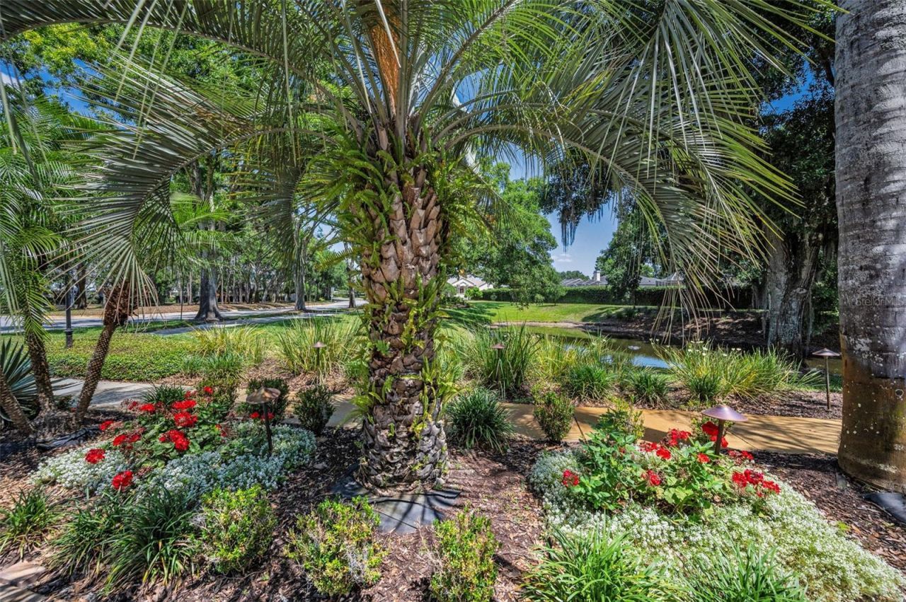 8843 Bel Meadow Way , Trinity, FL 34655 Photo