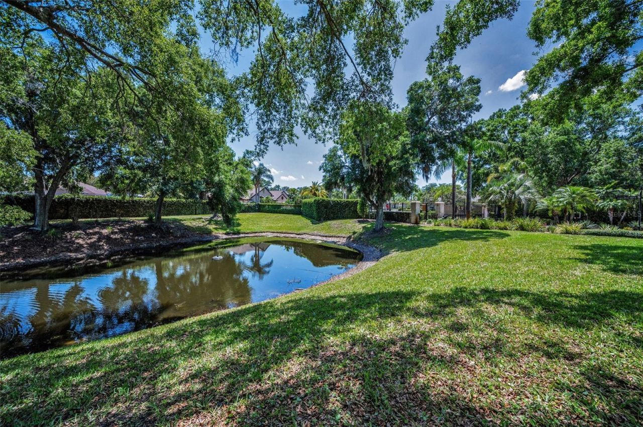 8843 Bel Meadow Way , Trinity, FL 34655 Photo