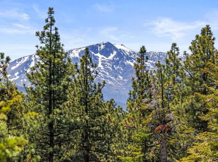 3589 Rocky Point Rd, South Lake Tahoe, CA 96150 Photo