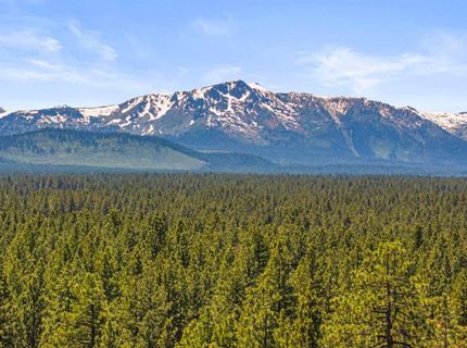 3589 Rocky Point Rd, South Lake Tahoe, CA 96150 Photo