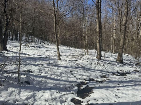 1145 Chestnut Ridge Rd, Moatsville, WV 26405