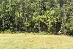 255 Osprey Pointe Lane photo 4