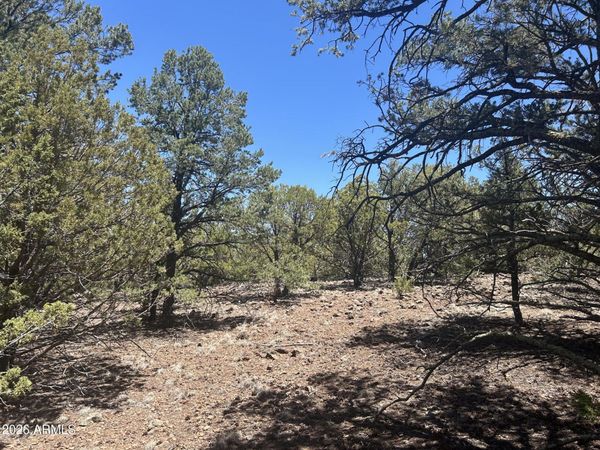 TBD lot 37K, Unit 037K, Vernon, AZ 85940