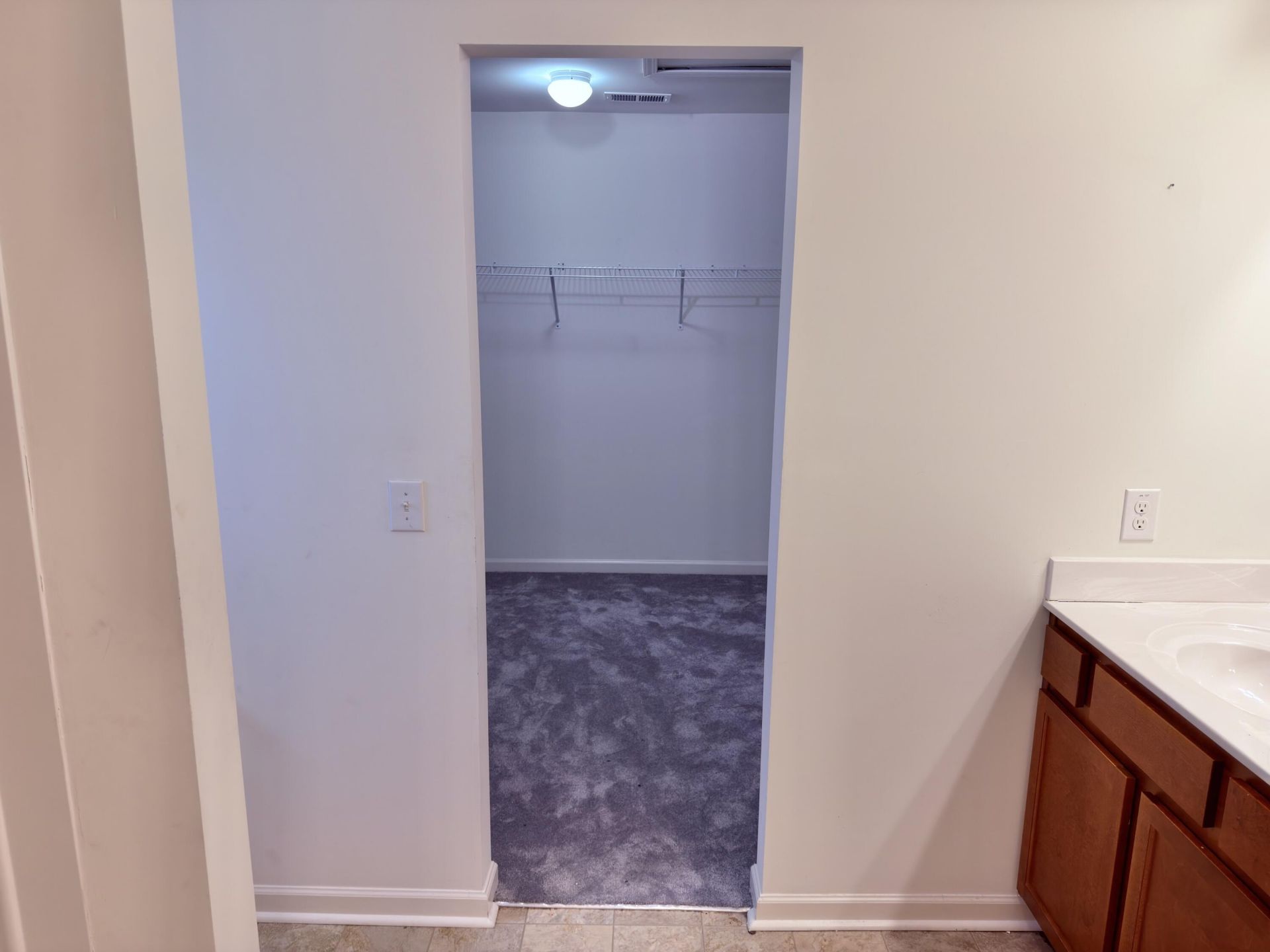 407 Thoroughbred Drive Photo 19