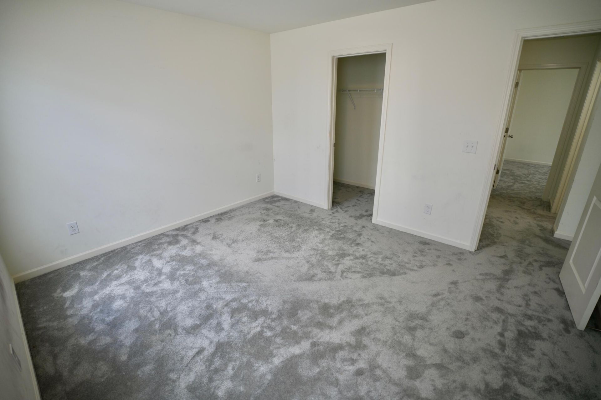 407 Thoroughbred Drive Photo 28
