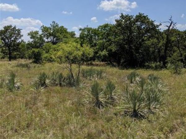 0000 Co Rd 271, Rising Star, TX 76471