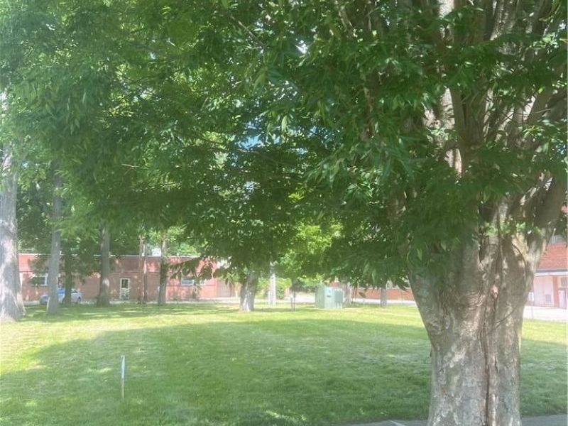00 Livermore St (Lot 488) Livermore Street, Yellow Springs, OH 45387 Photo 3