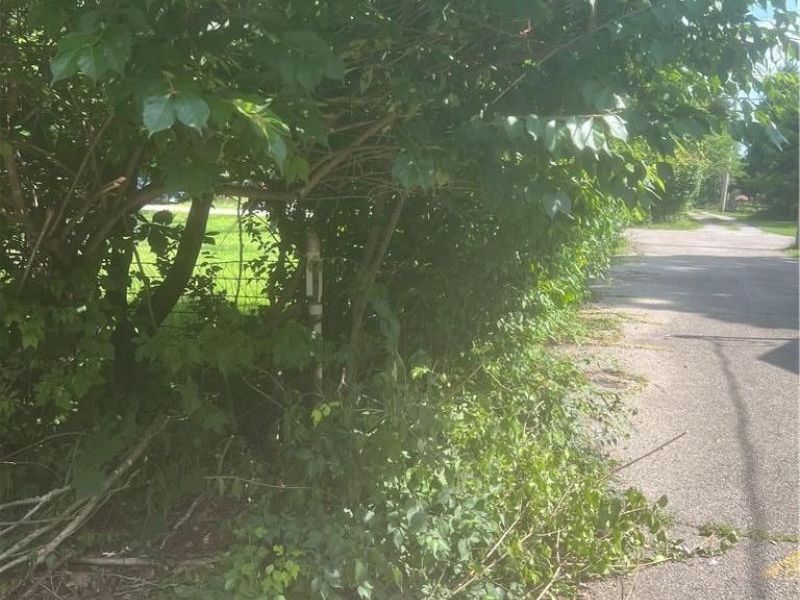 00 Livermore St (Lot 488) Livermore Street, Yellow Springs, OH 45387 Photo 7