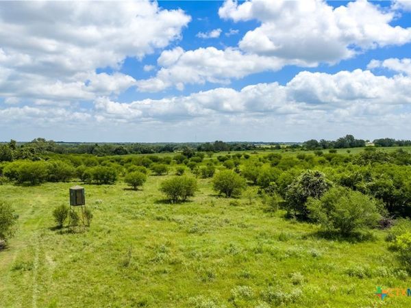 596 Hallemann Road , Goliad, TX 77963