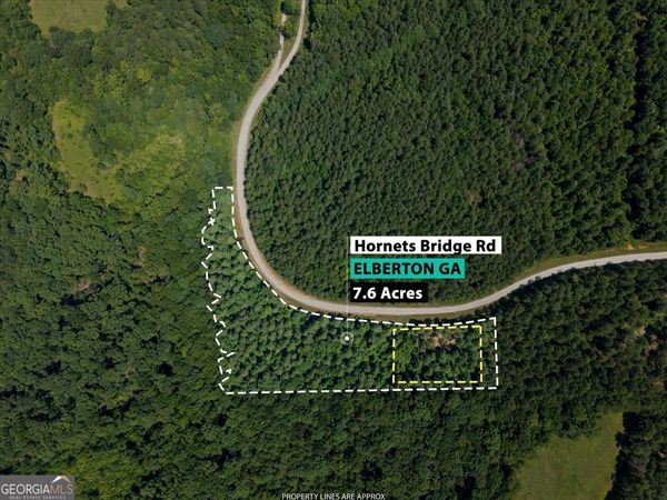 0 Hornets Bridge Road, Elberton, GA 30635
