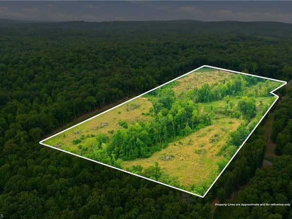 00 Cane Creek Road , Snow Camp, NC 27349