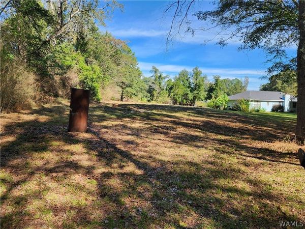 0 Hurricane Road, Cottondale, AL 35453