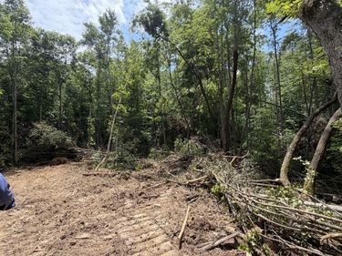 2222 Gibson Lane, Williamsburg, KY 40769