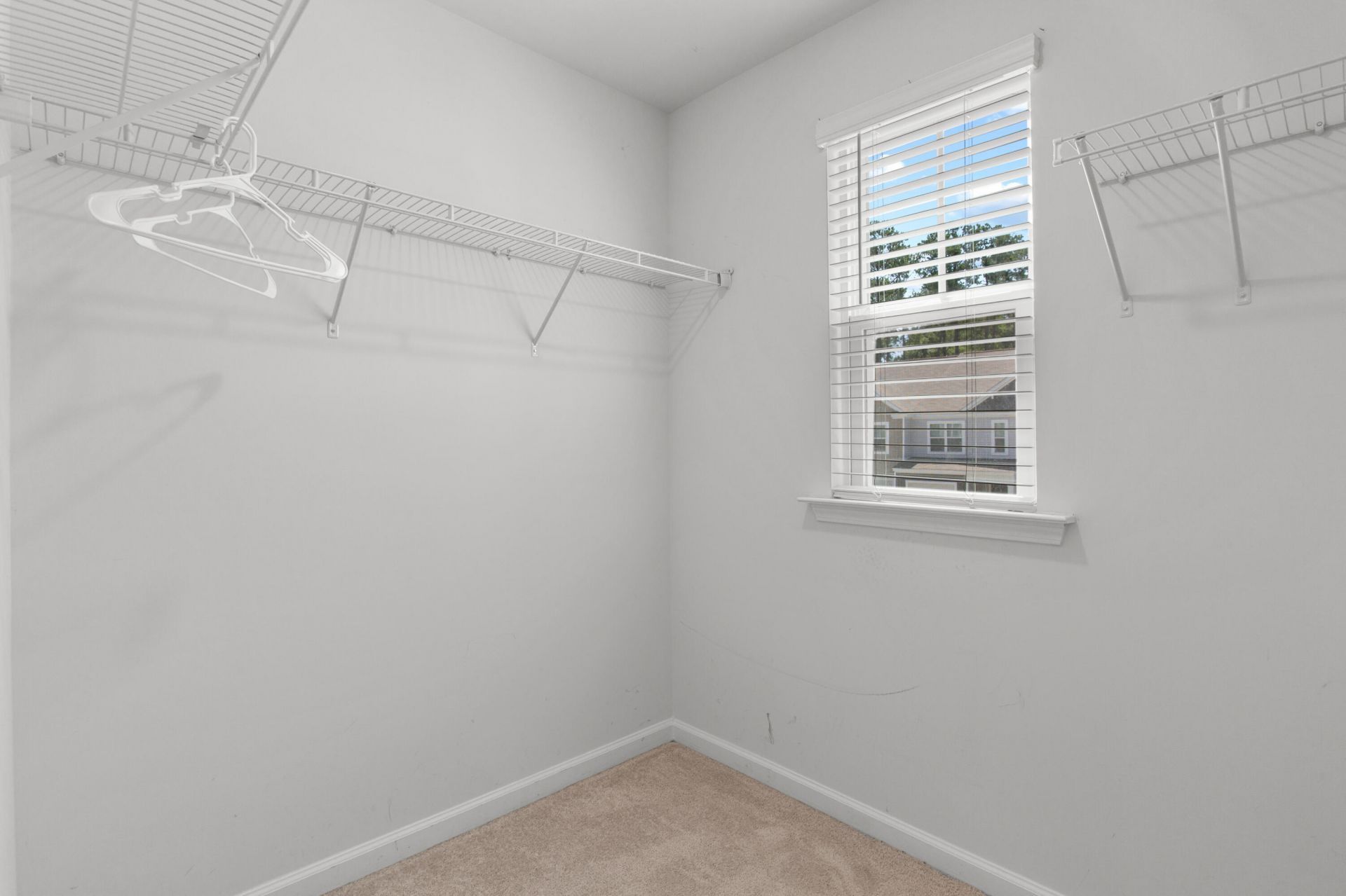 148 Rosefield Court Photo 11