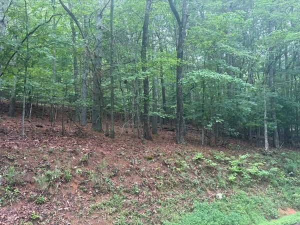 99 Nelson Circle, Blairsville, GA 30512