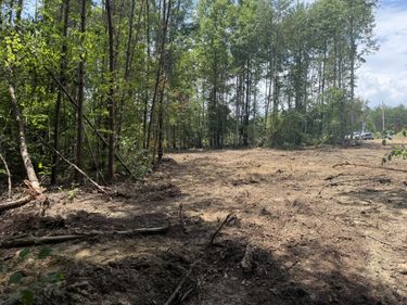 101010 Gibson Lane, Williamsburg, KY 40769