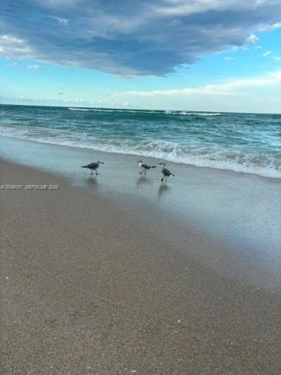 100 Bayview Dr, Unit 1906, Sunny Isles Beach, FL 33160 Photo
