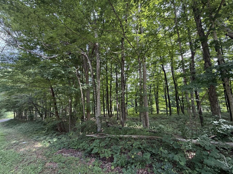 Property Image 18