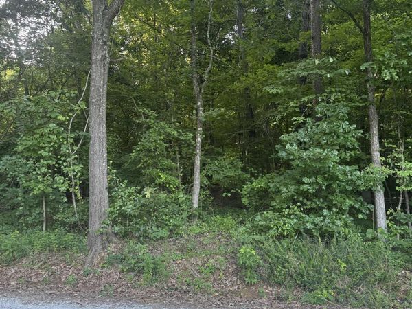 Lot 71 Goldenrod Way, Athens, AL 35614