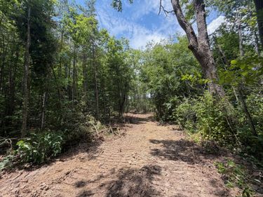 121212 Gibson Lane, Williamsburg, KY 40769