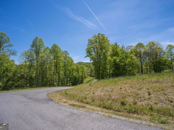 LOT 4-4A Jonica Gap Road, Mineral Bluff, GA 30559