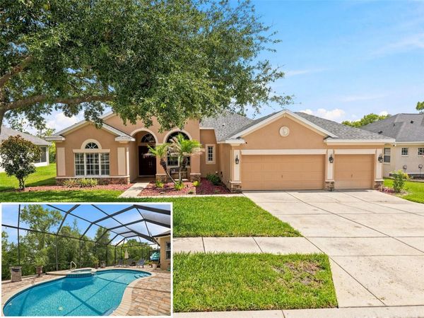 13248 LINZIA LANE , SPRING HILL, FL 34609