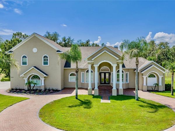 11518 HAMMOCK OAKS COURT , LITHIA, FL 33547