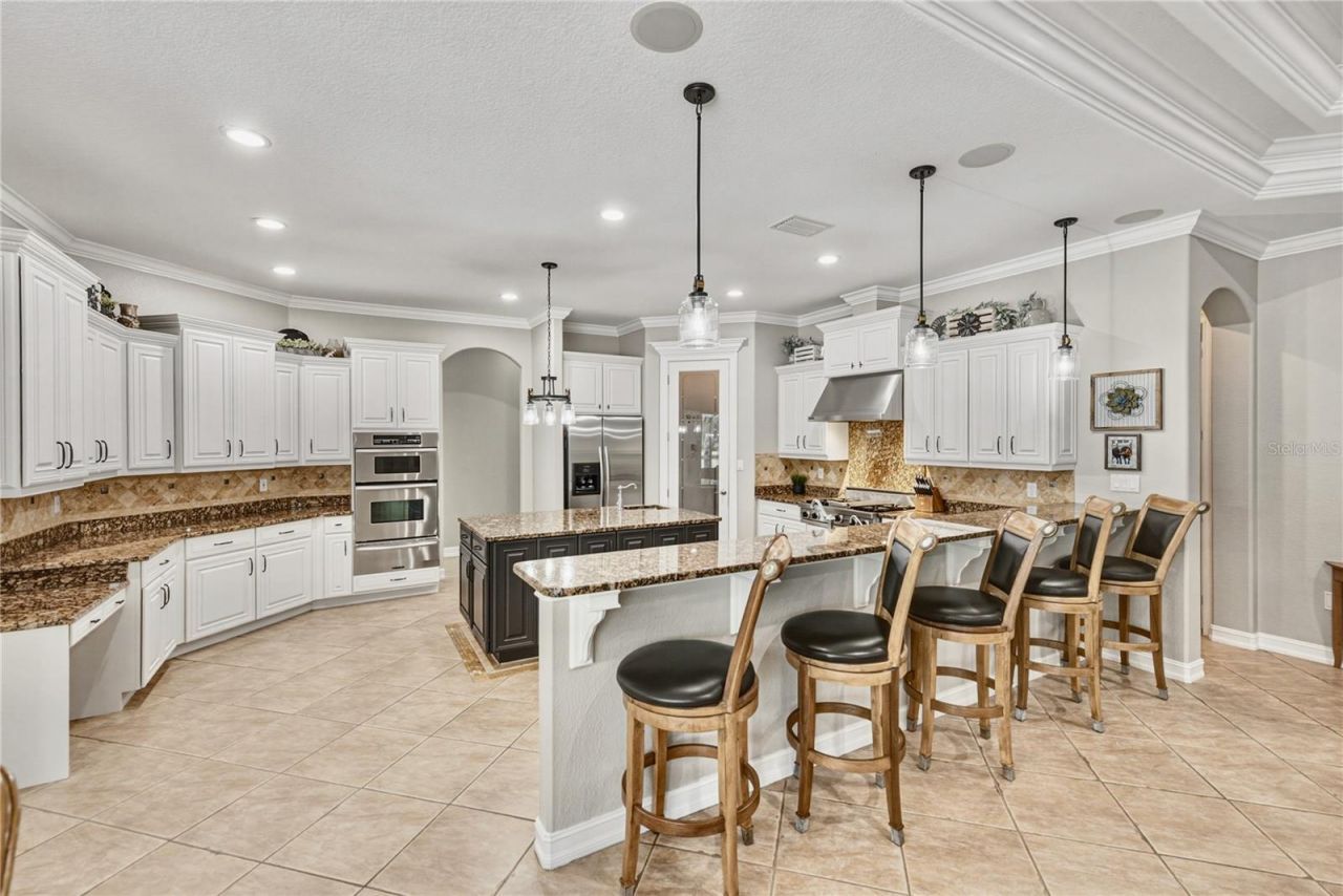 11518 Hammock Oaks Court , Lithia, FL 33547 Photo