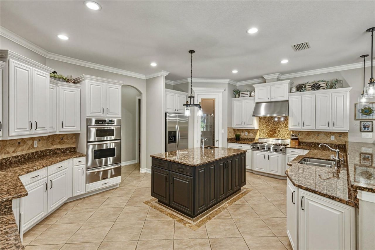 11518 Hammock Oaks Court , Lithia, FL 33547 Photo