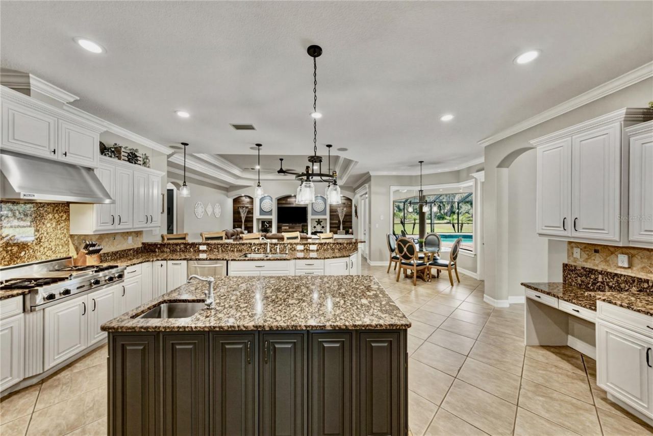 11518 Hammock Oaks Court , Lithia, FL 33547 Photo