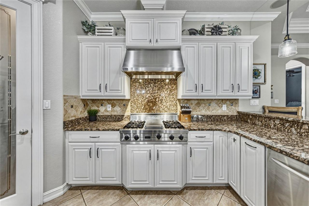 11518 Hammock Oaks Court , Lithia, FL 33547 Photo