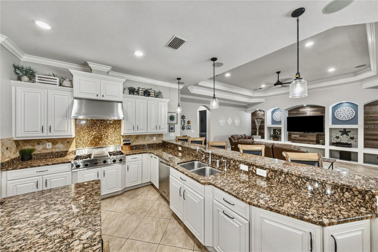 11518 Hammock Oaks Court , Lithia, FL 33547 Photo