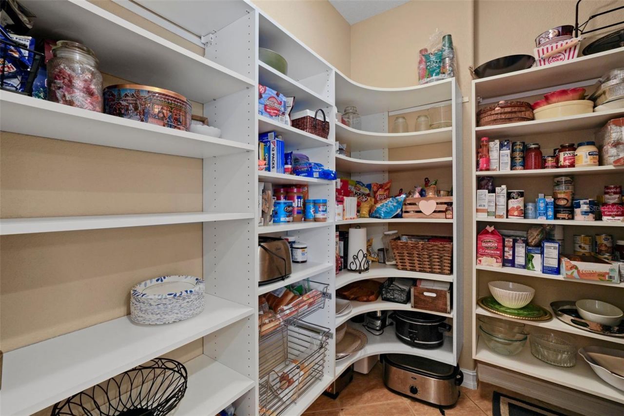 11518 Hammock Oaks Court , Lithia, FL 33547 Photo
