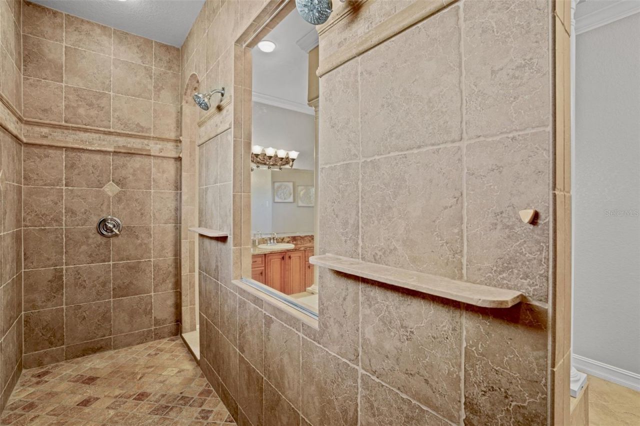 11518 Hammock Oaks Court , Lithia, FL 33547 Photo