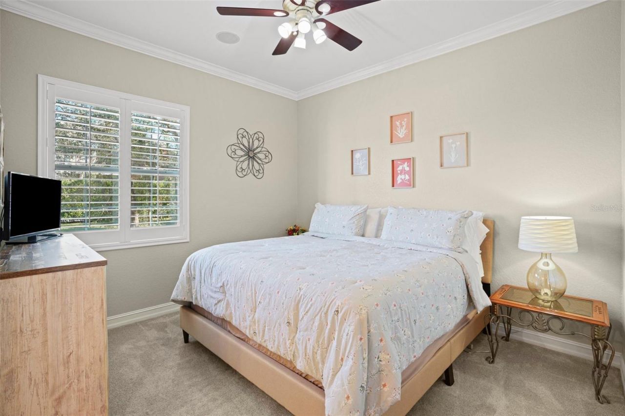 11518 Hammock Oaks Court , Lithia, FL 33547 Photo
