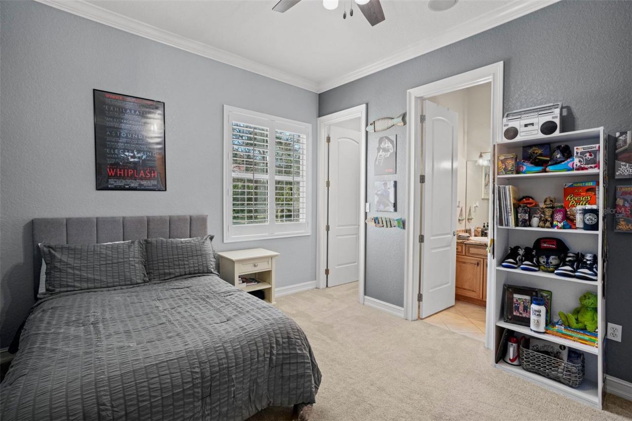 11518 Hammock Oaks Court , Lithia, FL 33547 Photo